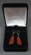 Vibrant, Red Agatized Dinosaur Gembone Earrings #33832-2